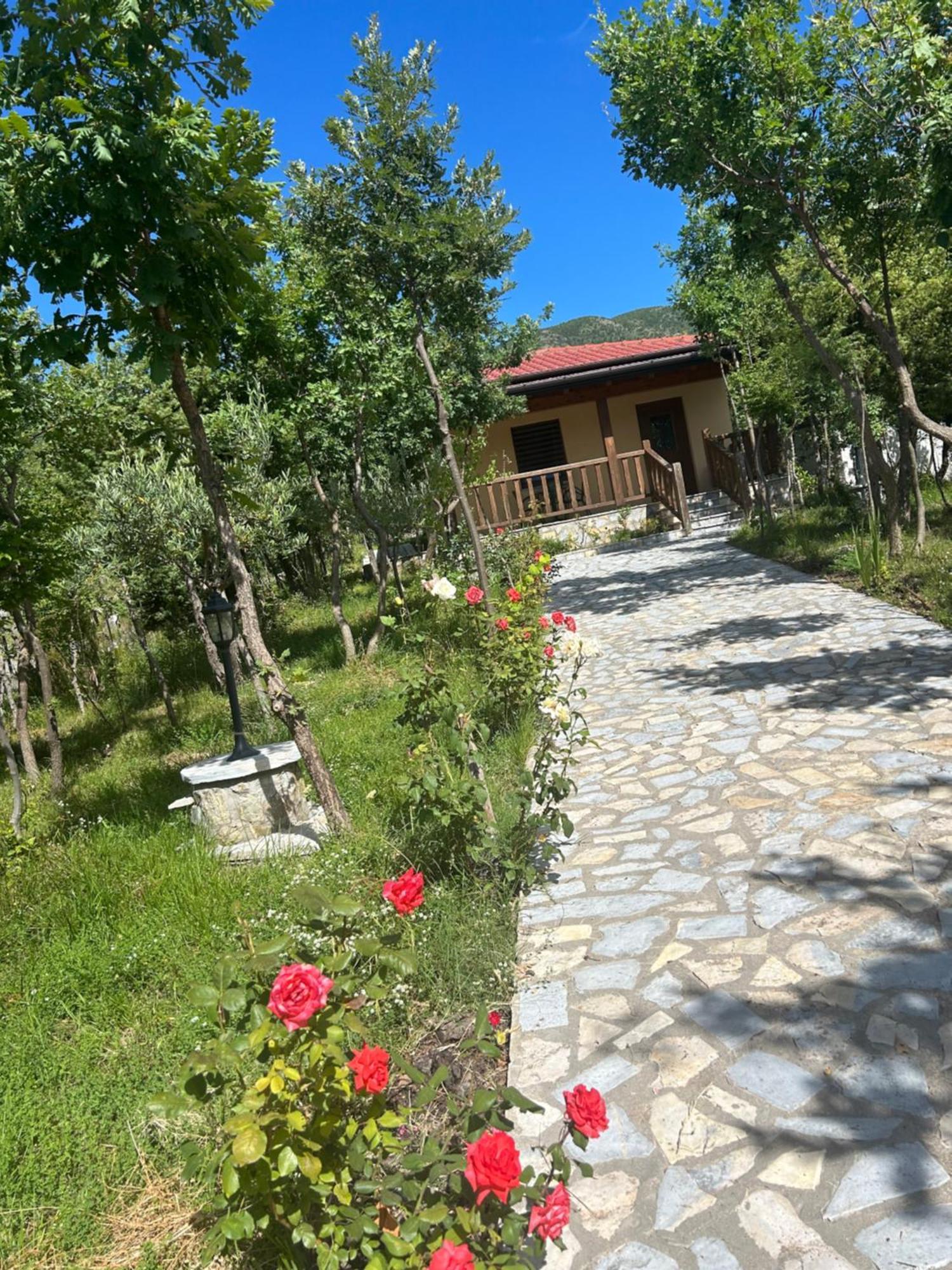 Hani I Leks Agroturizem Lezhë المظهر الخارجي الصورة