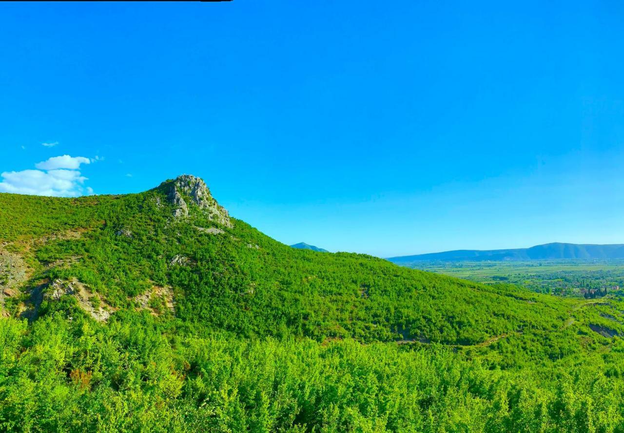 Hani I Leks Agroturizem Lezhë المظهر الخارجي الصورة